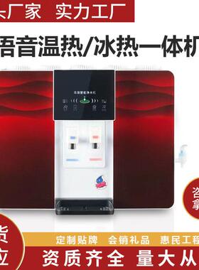 净水器家用直饮机加热一体机农村家电会销惠民冰热冷热一体机
