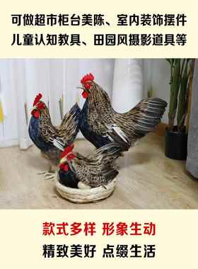 仿真大母鸡模型鸡摆件摄影道具真羽毛工艺品造景假鸡家居招财摆件