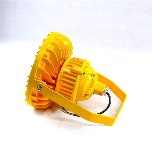 节能防爆防水防尘LED灯60W70W80W100W吊杆24V30度弯杆防爆壁灯 - 图2