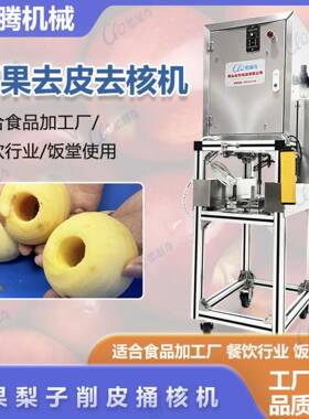 304不锈钢立式头水果削皮捅芯切瓣机商用三合一苹果梨子削皮机
