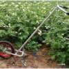Hand push tiller, hoe, hoe, weeder, hoe, tiller, hand-pulled plow, furrow plow, agricultural machinery