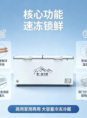 商用大容量卧式冰柜冷藏冷冻铜管速冻冰箱双温雪柜冷柜摆摊商用