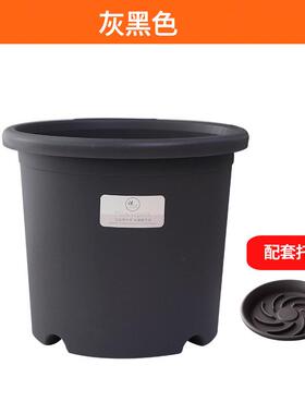 Deepot长盛四季花盆花盆透气花瓶