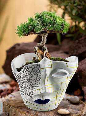 跨境新品创意人脸裂纹抽象花盆树脂工艺植物盆栽容器家居园艺摆件