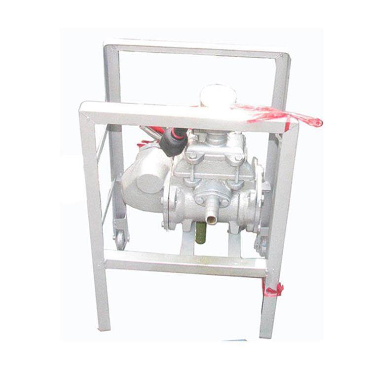 厂家直销手摇电动二用计量加油泵手摇油泵计量加油泵二合一厂家 - 图2