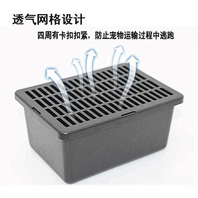 宠物塑料盒乌龟活体快递运输盒透气养龟缸打不烂小号带盖仓鼠盒子,淘宝优惠券,粉丝福利购,淘宝优惠卷