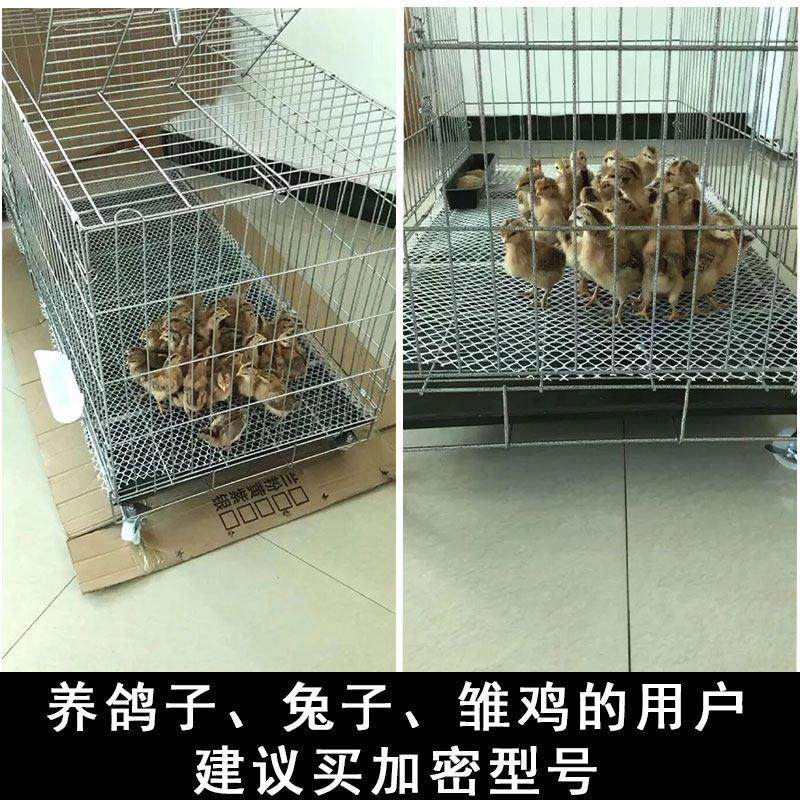 鸡笼子养殖笼鸡笼家用大号特大号加密养鹌鹑兔笼狗笼猫笼鸽子笼子,淘宝优惠券,粉丝福利购,淘宝优惠卷
