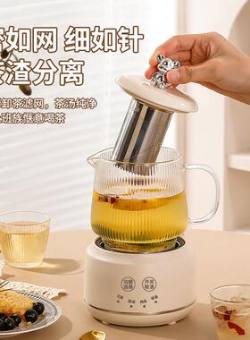 多功能养生杯家用养生壶小型办公室花茶壶迷你煮茶壶全玻璃烧水杯