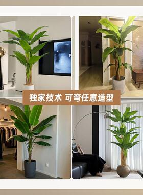 北欧ins风高级感彷真绿色植物盆栽大型芭蕉树假盆景落地客厅植物