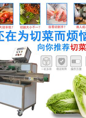 电动切菜机TJ-301商用不锈钢双变频切菜机球茎类厨房切菜机