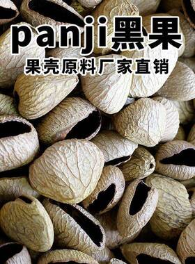 水铃桐果壳铃材料风铃手摇铃原料DIY手工制作排铃音束挂件果实diy