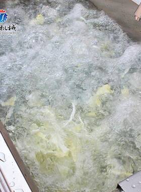 小型果蔬气泡清洗机水果蔬菜清洗设备商用连续清洗机械