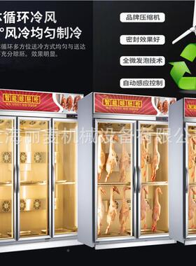 北京烤鸭晾胚柜 187鸽子叉烧恒温除湿冻解风柜风干箱 晾干鸭风柜