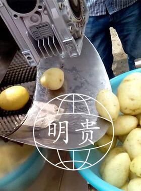 土豆毛辊清洗去皮机根茎类磨皮机器1.5米红薯毛刷脱皮机