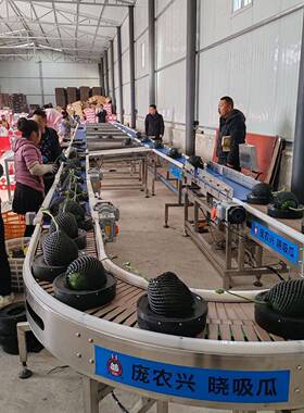 重量分选机 多级别自动称重水果分拣机自动称重网纹瓜西瓜分选机
