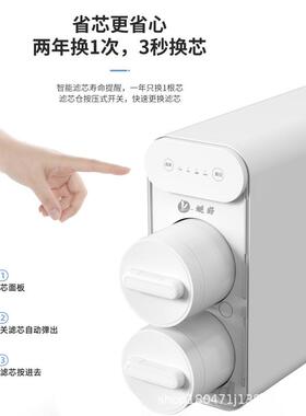 蜓好RO反渗透净水器商用家用1000G大流量直饮机纯水机净水机