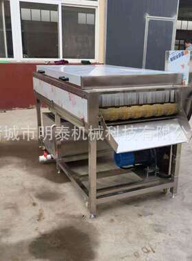 香水柠檬平行毛辊清洗机红薯加工设备设备海蛎子海螺去杂分选机