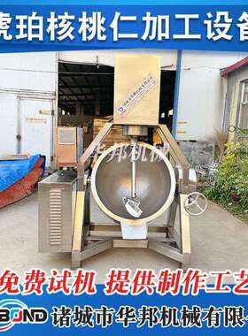 腰果炒制机器 大型全自动行星搅拌炒锅 琥珀核桃仁全套加工设备