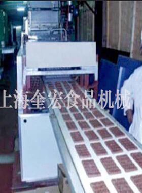 金币元宝巧克力浇注生产线/单双头巧克力成型设备/巧克力食品机