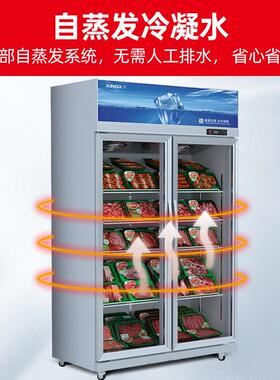星星全冷冻展示柜商用立柜超市肉类急冻冰柜低温保鲜柜立式冰柜