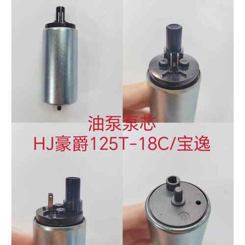 适用电喷国四机车滑板车110-125-150-190-250汽油泵芯马达电机 - 图0