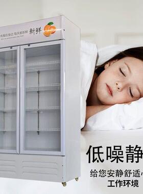 冰迪星展示柜饮料柜立式商用酒水柜保鲜冷藏柜超市水柜饮品玻璃柜