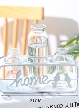 新款水培绿植摆件北欧房铁艺玻璃花饰瓶植物摆办公室家居间插装花