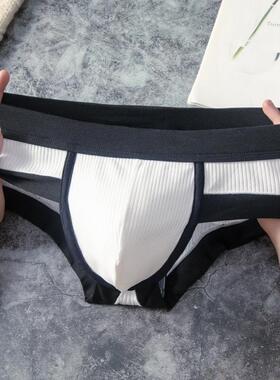 D 78739 Men's Triangle Underwear Low Rise 士三角裤