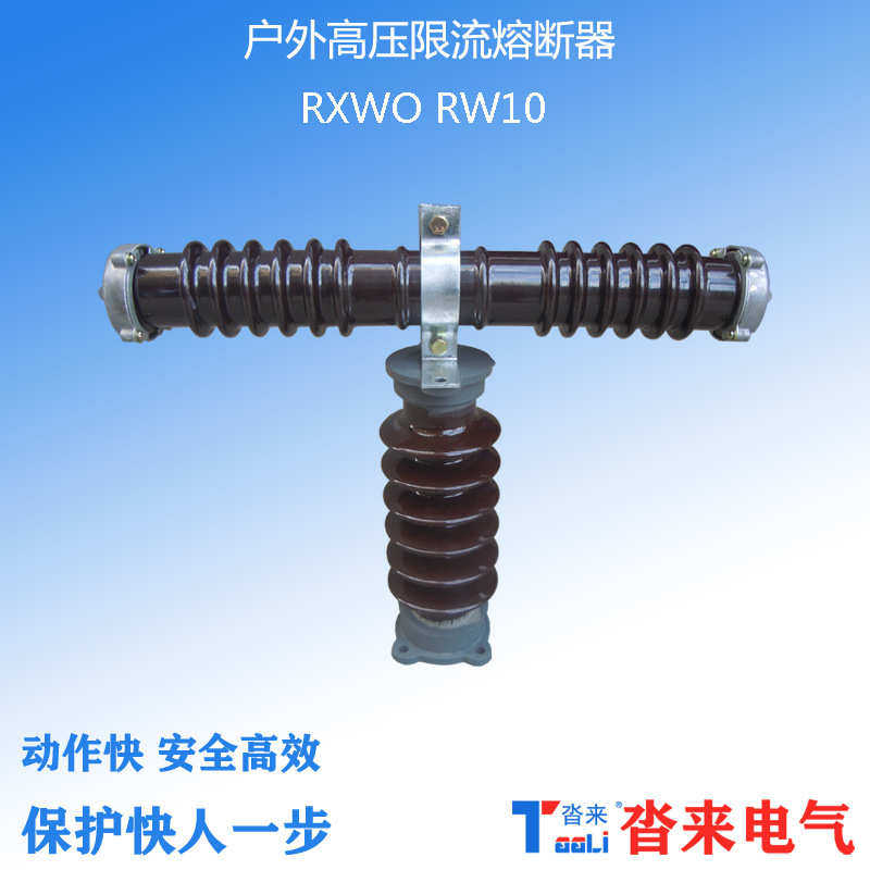 RXWO-35高压限流熔断器户外型RW10-10-12-40.5KV陶瓷绝缘卡扣式,淘宝优惠券,粉丝福利购,淘宝优惠卷