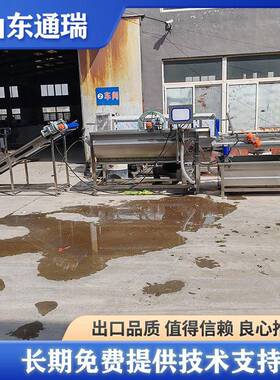 商用沥干涡流清洗设备气泡连续式洗枣机平菇净菜加工生产线大型