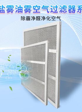 除盐雾油雾净化空气过滤器 金属不锈钢除油气液除雾器初效过滤器