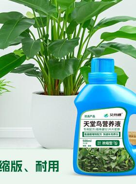 天堂鸟植物营养液花肥养花专用肥绿植营养液园艺肥料室内植物通用