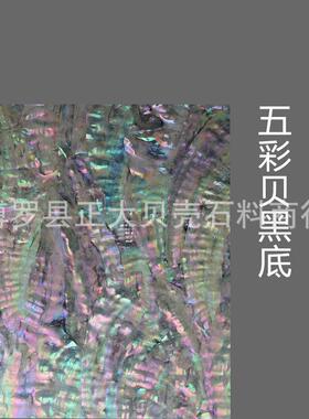 小尺寸天然珍珠贝壳纸鲍鱼贝扇贝工艺品传统手工diy螺钿镶嵌材料