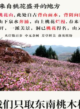 东南真品野生树枝桃木葫芦招财挂件摆件镇宅乔迁铜钱原木对门五帝