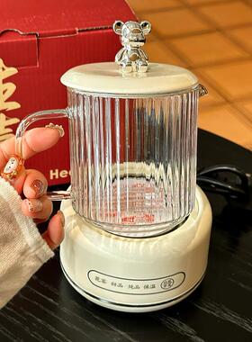 多功能家用养生壶办公室花茶壶炖煮一体煮茶壶养生杯礼盒电炖杯