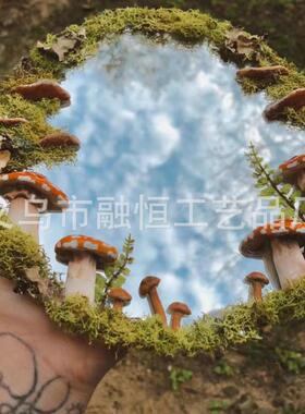花园庭院镜子森林气息镜子摆件设计家居蘑菇苔藓花环自然装饰