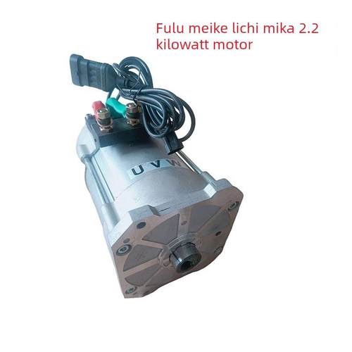 利驰交流电机V5V6V7V8E9新碧玺富路美科冷却器嘉瑞Q7大牛野牛电机 - 图0