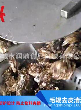 厂家供应海红毛辊清洗机扇贝毛辊喷淋机润鼎海产品清洗设备