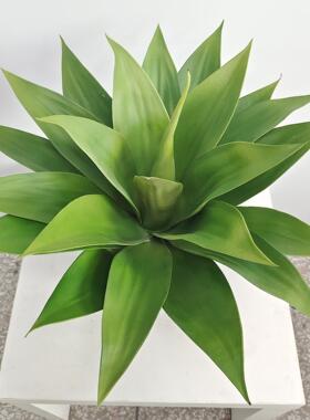仿真盆品栽家居软装绿植落地饰件龙舌兰剑盆兰现货仿真绿植CQ0029
