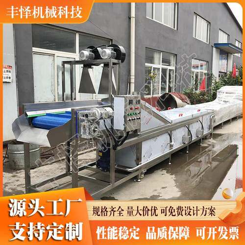 竹笋漂烫机连续式酸豆角预煮杀青护色机芦笋预煮漂烫成套设备 - 图0