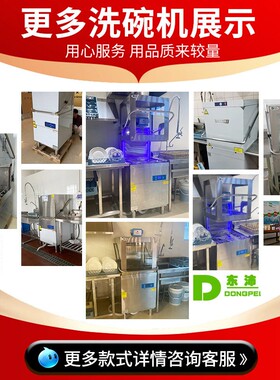 东沛小型不锈钢酒店用提拉式洗杯机全自动商用揭盖食堂厨房洗碗机