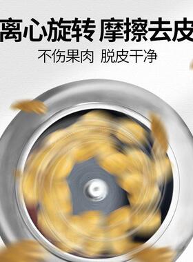 工厂直销土豆脱皮机商业用不锈钢新蔬菜脱皮机一件起批香芋去皮机