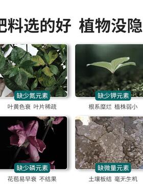 植物通用型缓释营养粒花草瓜果温和不伤植物肥料盆栽氮磷钾复合肥
