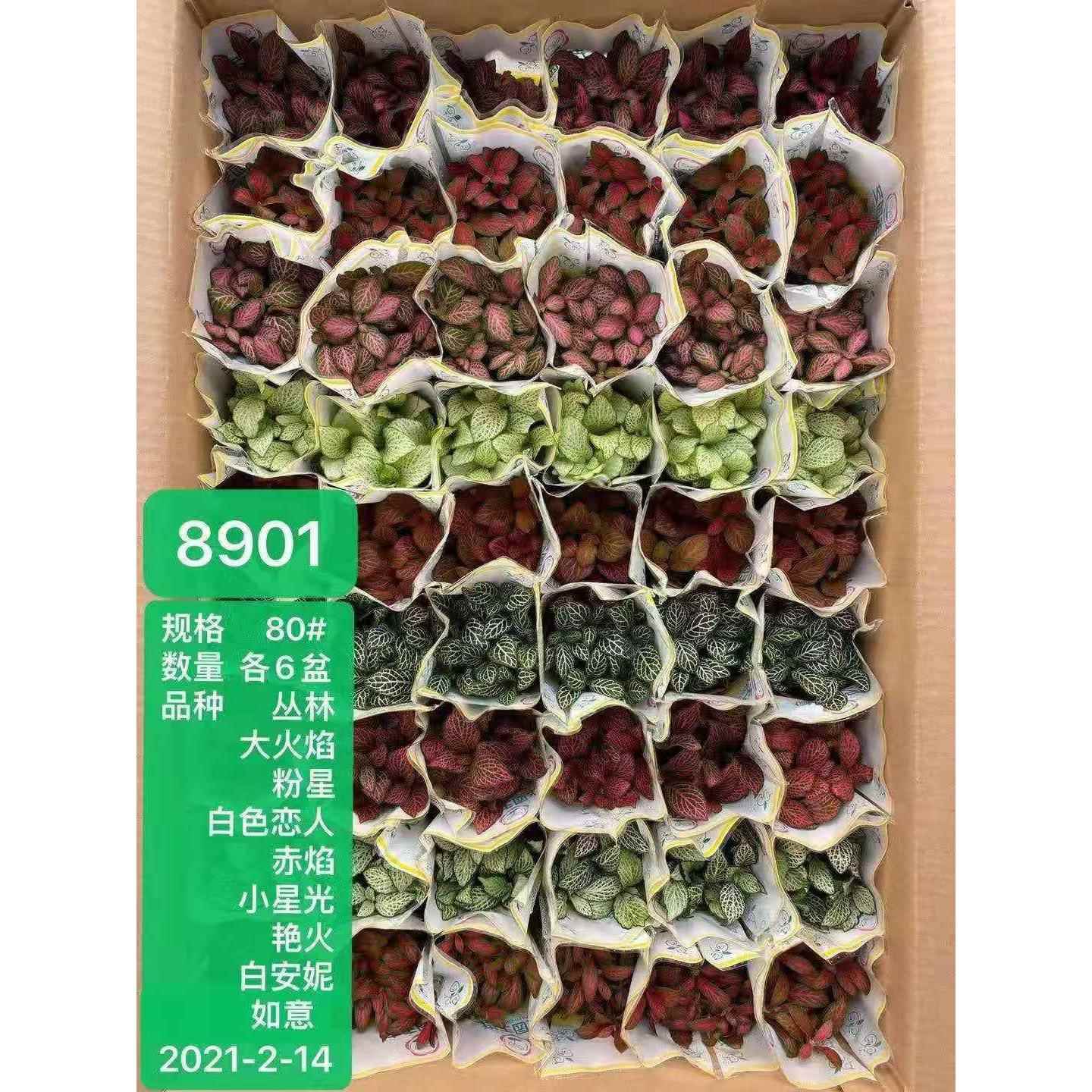 图2