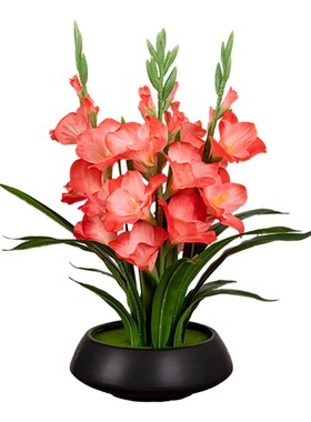 高级感剑居兰彷花真花绢花家客20251107厅餐桌饰假花玄装关插花艺
