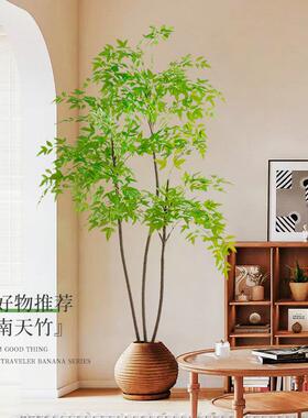 彷真绿色植物南天竹客厅落地假盆栽高端轻奢彷生植物大型摆件造景