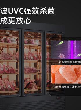 风冷干式深海鱼牛肉牛排熟成柜餐厅商用恒温恒湿排酸柜冷冻冷藏柜