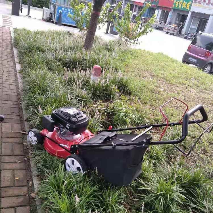 2寸手推割草坪机自走式剪草四1冲程汽油推草机ACQ家用款草机机 - 图2