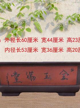 特大号紫砂长方形陶瓷花盆处理大陶瓷盆庭院户外栽树大花盆