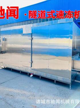 316不锈钢虾冻机大产量隧道式西蓝花流态化速冻机冷冻设备